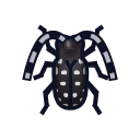 Citrus Long-Horned Beetle