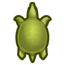Soft-Shelled Turtle