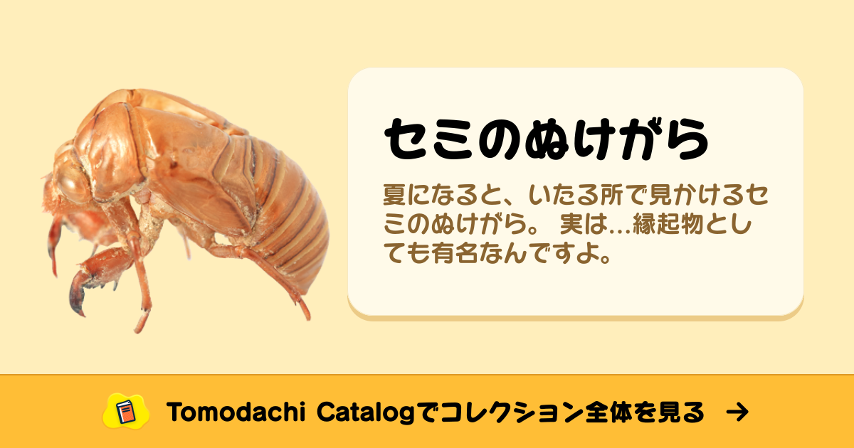 セミのぬけがら · トモダチコレクション お宝 - Animal Crossing World