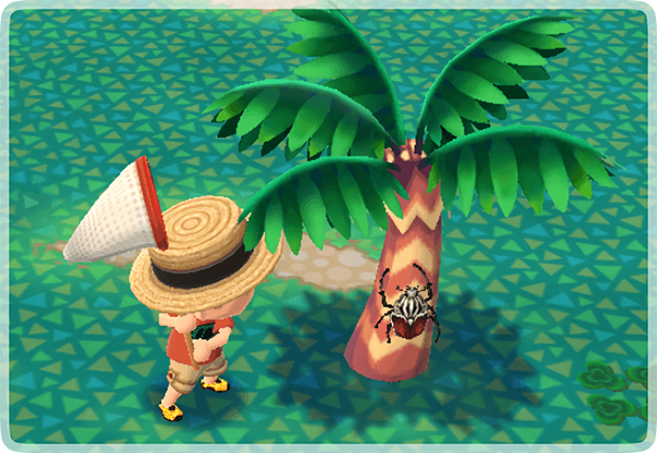 Summertime Beetle Bug Catching Complete Event Guide in Animal Crossing:  Pocket Camp Guides - Animal Crossing World