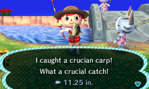 Fishing Tourney New Leaf Guide Dates Fish Set Prizes Tips Strategy