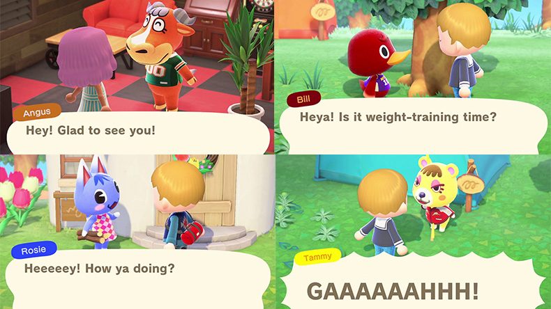 13 New Things We Saw in the Animal Crossing: New Horizons Nintendo