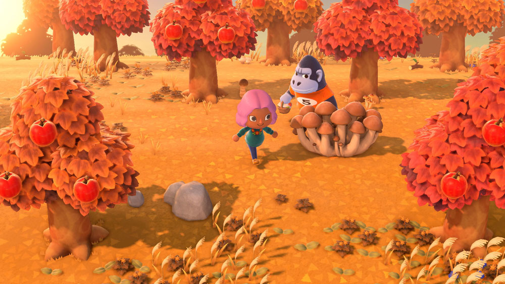 13 New Things We Saw in the Animal Crossing: New Horizons Nintendo