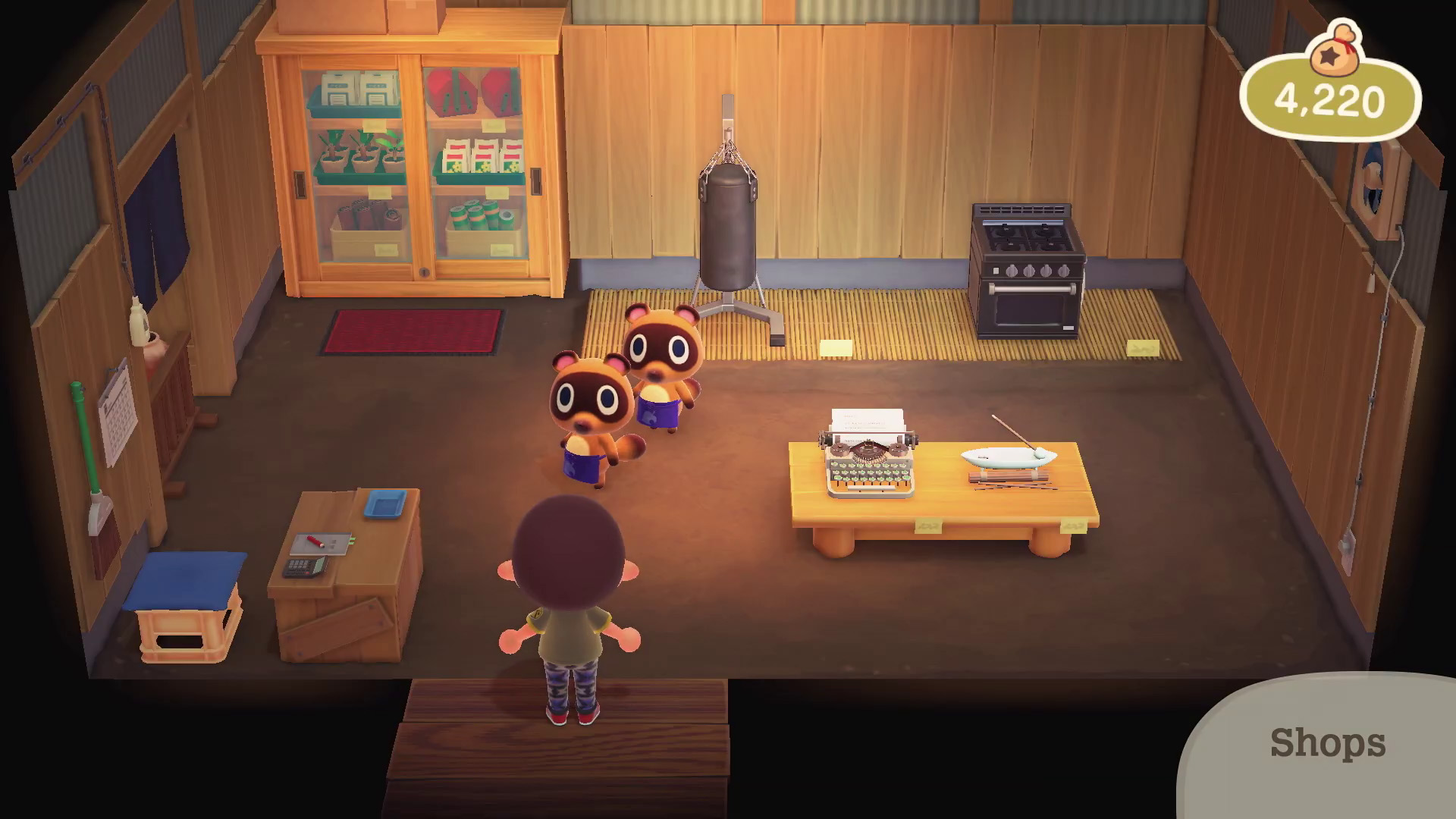 16 Smaller Fun Features & Details in Animal Crossing: New Might Have Missed (Analysis) - Crossing World