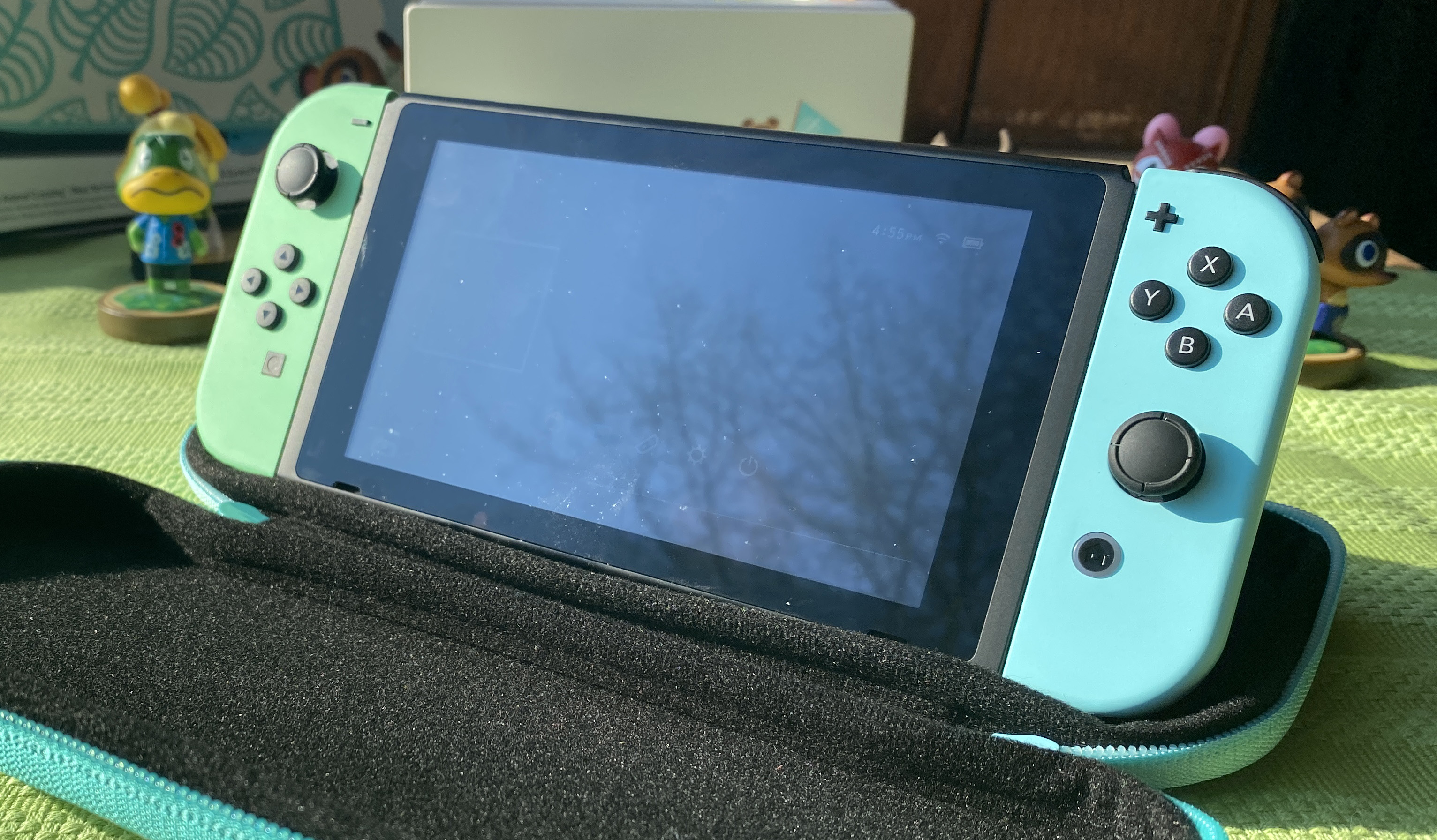 nintendo switch carrying case review