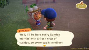 Turnip Stalk Market: How To Buy & Best Time to Sell in Animal Crossing ...