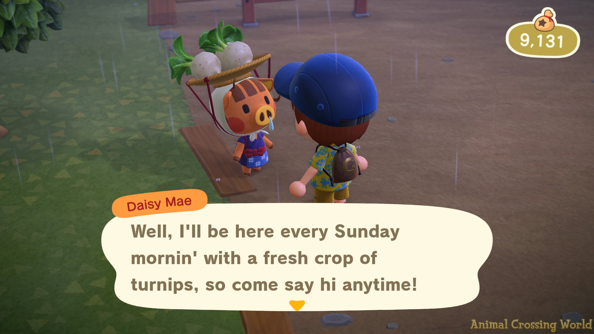 Turnip Stalk Market: How To Buy & Best Time to Sell in Animal Crossing: New  Horizons
