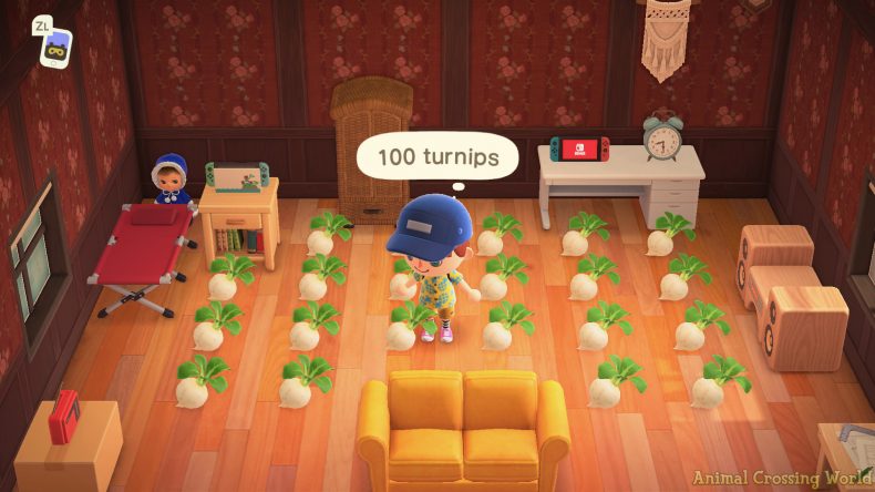 animal crossing time travel turnips