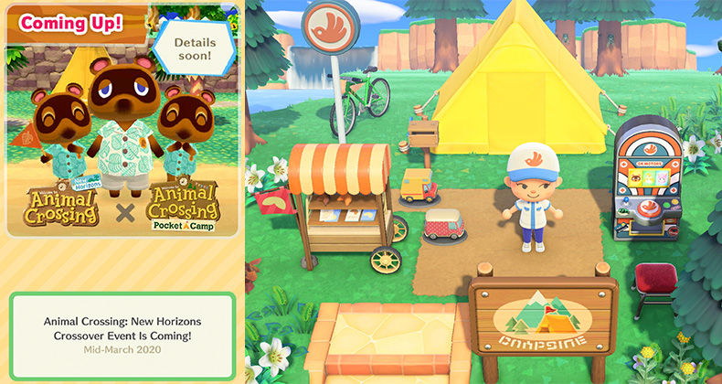 animal crossing switch and pocket camp