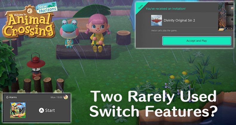 animal crossing on 2 switches