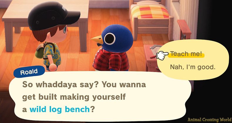 does animal crossing need online