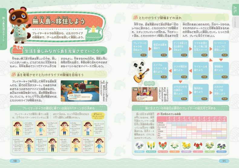 Check out these giant Animal Crossing: New Horizons Japanese Guides ...