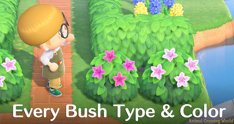 Bush Types Colors List Blooming Season Dates In Animal Crossing New Horizons