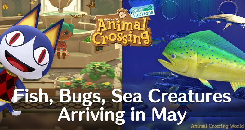 New Bugs, Fish, Sea Creatures In May For Animal Crossing: New Horizons  (Northern & Southern Hemisphere) - Animal Crossing World