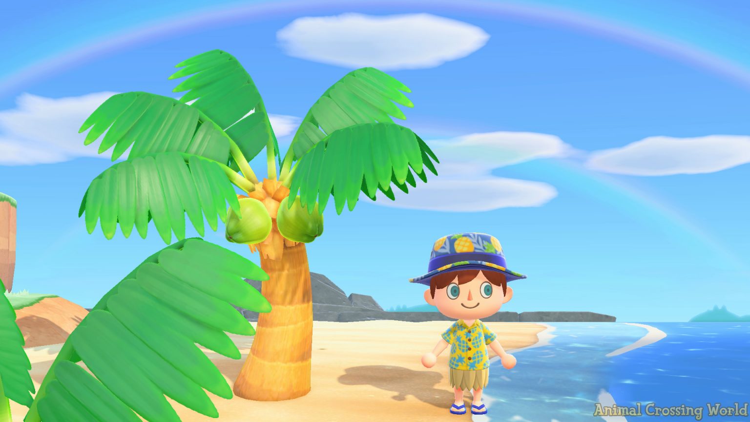 Predict Meteor Showers, Rainbows, Auroras In Animal Crossing New