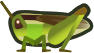 Animal Crossing: New Horizons Rice Grasshopper Bug