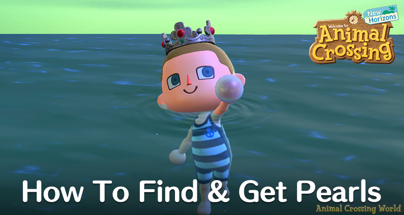 Scallop Times and How To Catch  Animal Crossing: New Horizons