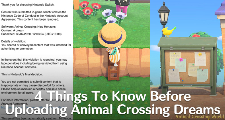 4 Things To Know Before Uploading Animal Crossing Dreams Advertising Cheating Bulletin Board Ladders Animal Crossing World