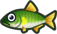Animal Crossing: New Horizons Sweetfish Fish