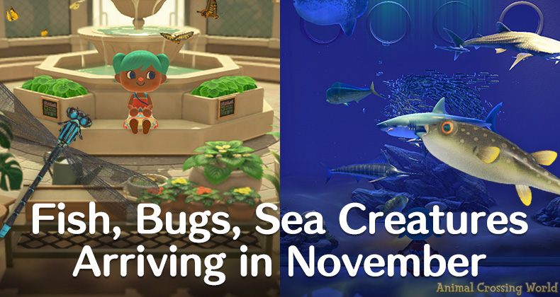 New Bugs, Fish, Sea Creatures In November For Animal Crossing: New