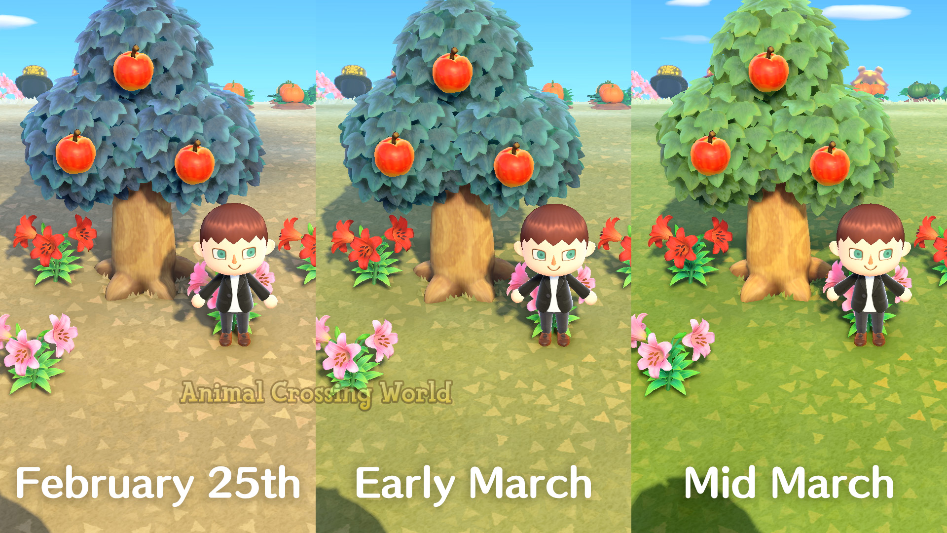 Goodbye Winter Snow! 6 Things To Enjoy During Spring In Animal Crossing