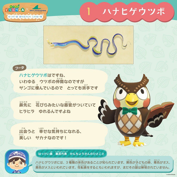 This Japanese Aquarium Is Hosting An Official Animal Crossing Event With Prizes Game News 24