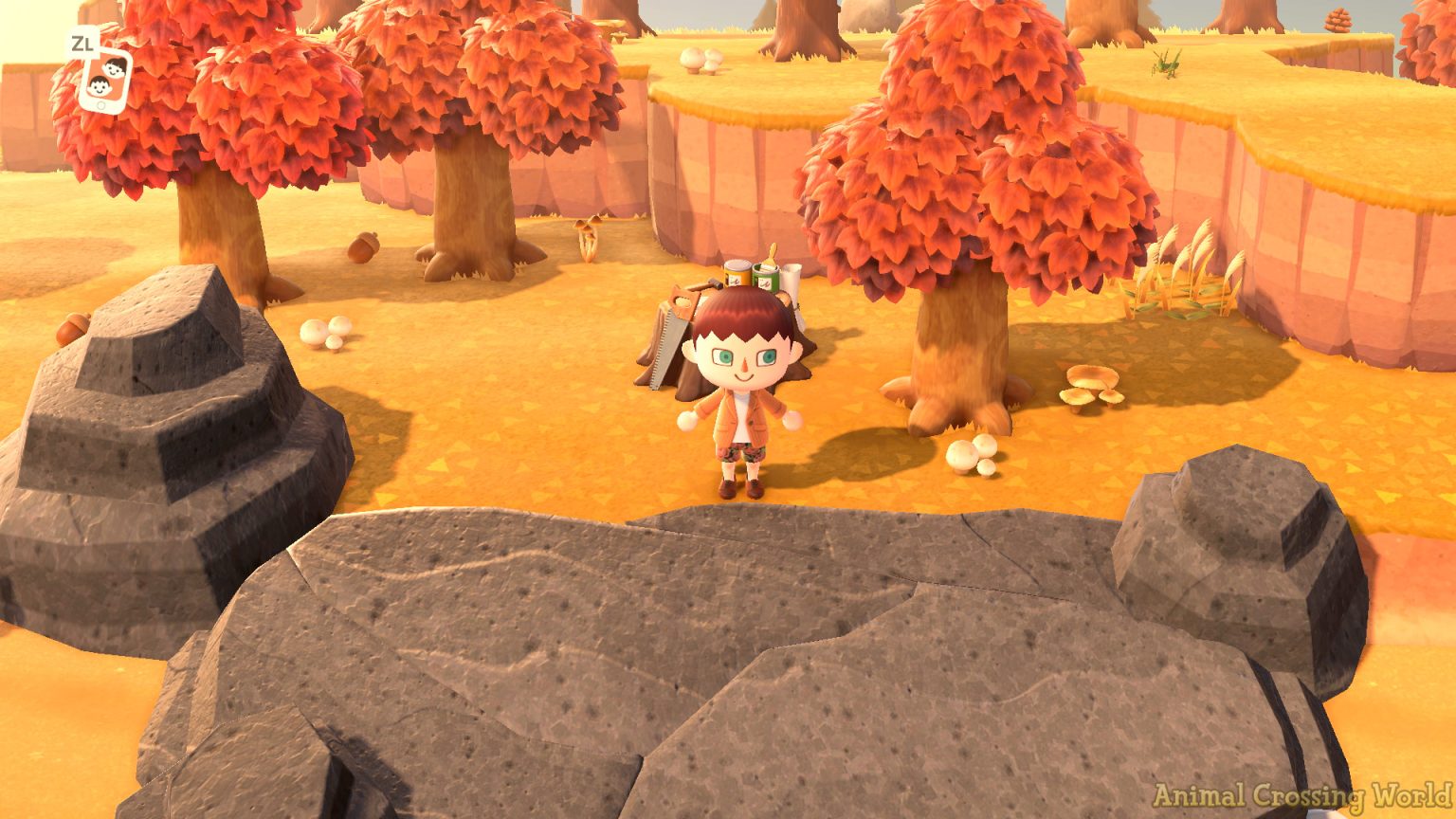 One Reason Why You Might Not Find Rare Kapp'n Islands In Animal